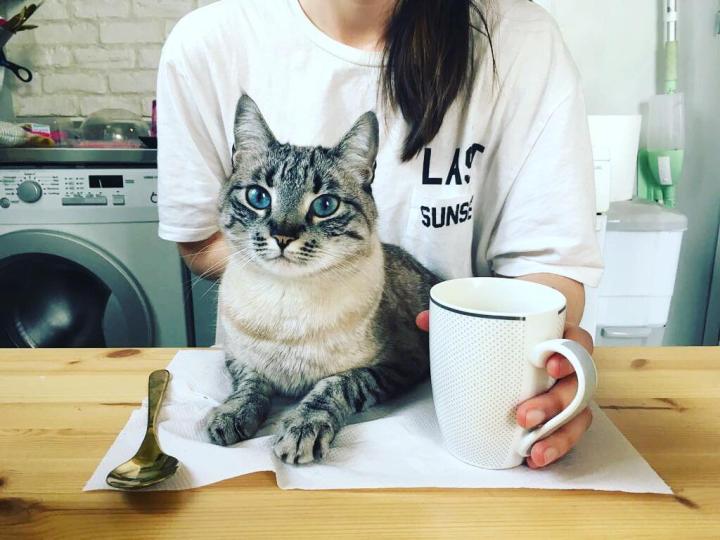 10 Ways Italy has Changed&nbsp;me